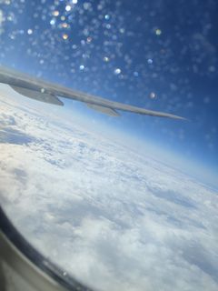 ❤️for a new interesting travel❤️