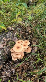 I want some cash)))))