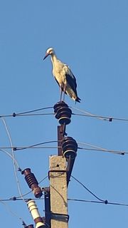 A lot of communication is needed