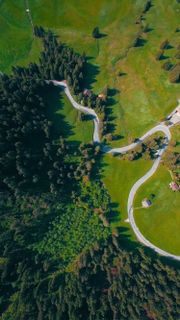 I want a house, a car (not smaller than a Rolls Royce), a yacht and one yard of dollars