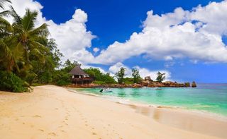 Beach vacation 100,000 tok