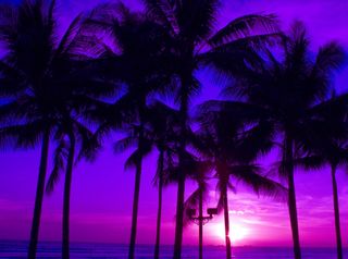 Joint trip to the sea