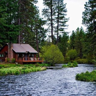 House in the forest❤️