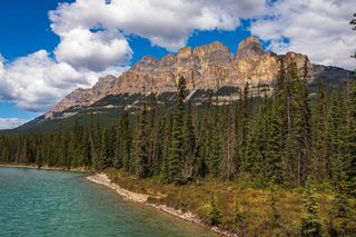 Danozka wish list item 1 thumbnail