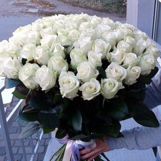 white roses