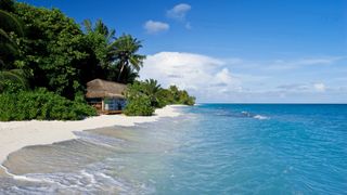 I want to go to the sea!