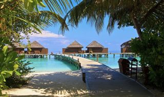 I want to go to the Maldives