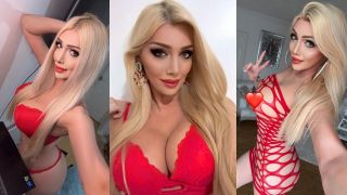 Barbi's Dream Wishlist