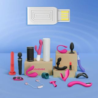 Lovense toy set