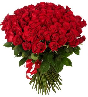 Pamper your darlings))