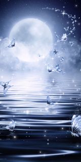 I want to fly to the moon