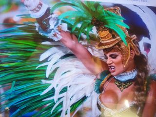 visit carnival in rio de janeiro