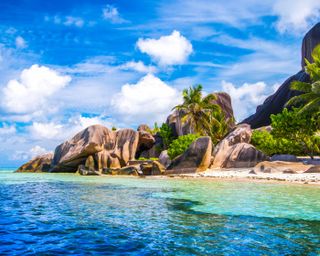 Visit the Seychelles