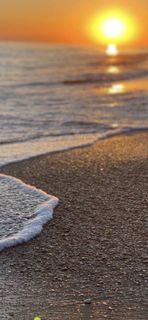 we want to go to the sea