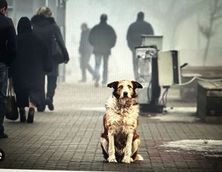 I am raising funds to buy an apartment