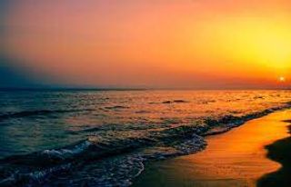 Angel-Vita wish list item 2 thumbnail