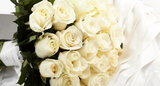 Oksana24rai wish list item 2 thumbnail