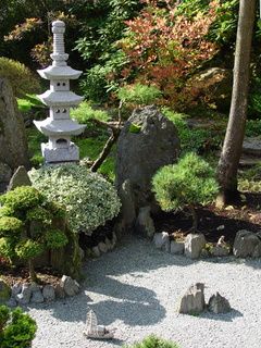 Japanese garden in the courtyard