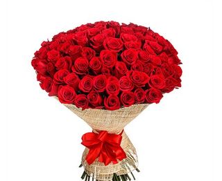 100 red roses