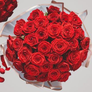 ?Dream BIG to being spoiled with 10001 of rosses ?