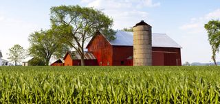 A FARM TO COLLECT HELPFUL ANIMALS♥