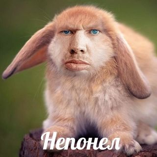 I want to never get sick