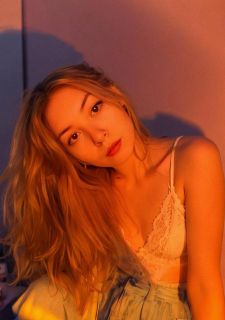 I want to build a house for a street dog