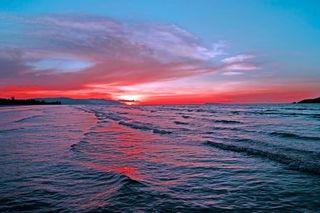 -SEXXX- wish list item 2 thumbnail