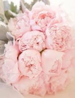 Lots and lots of peonies)