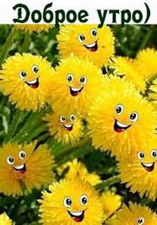 Give a huge bouquet of flowers