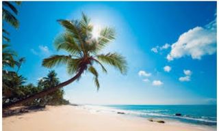 Путешествия