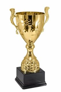 Get into the TOP-100