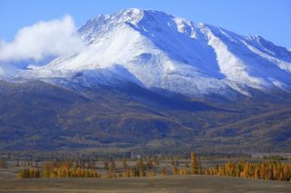 I want to go to the sea