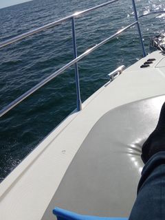 I want to go to Sochi