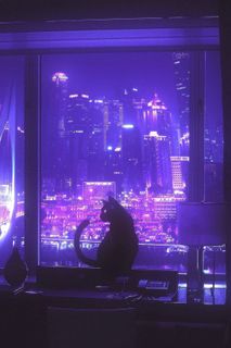 I dream of my own studio apartment in a new residential complex.