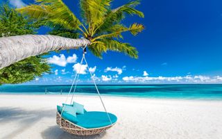 Vacation in the Islands