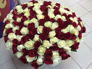 flowers (white and red roses)
