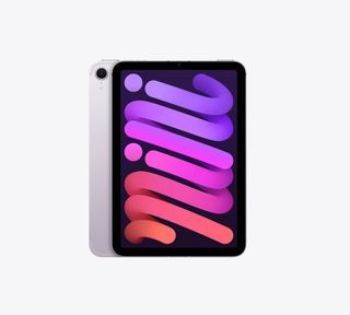 iPad Mini 512GB Purple