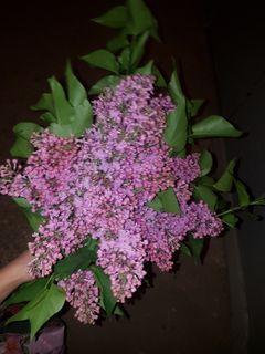 big bouquet