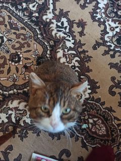 I'm going to close the loan