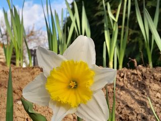 Train ticket & hôtel for 3 days vacation...