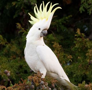 Dasha777777 wish list item 3 thumbnail