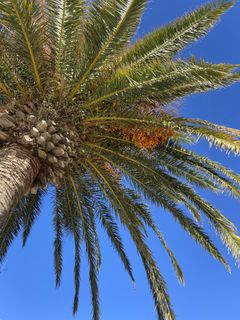 Viktoria_ wish list item 1 thumbnail