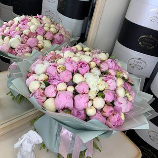 101 peonies